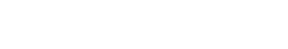Opus One Solutions